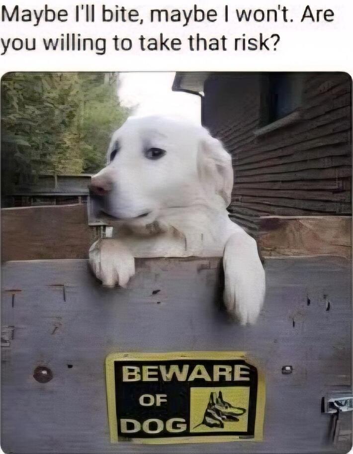 Ready to take a risk... until reality hits with a 'beware' sign