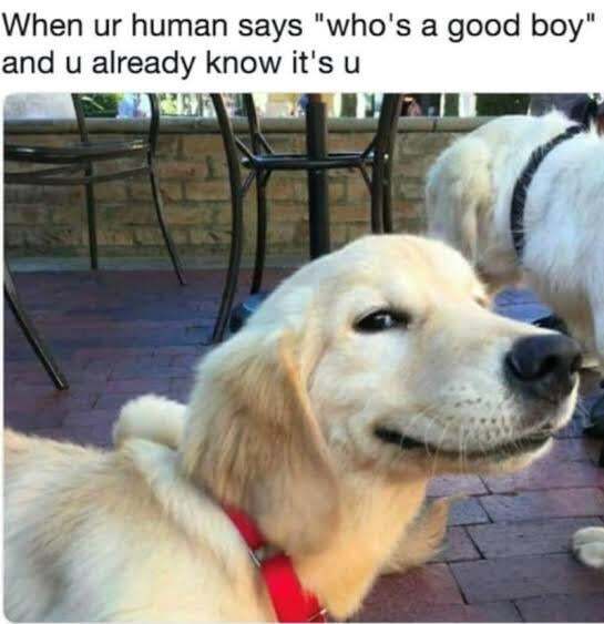 Self confidence level: unbothered, unquestioned, undeniable