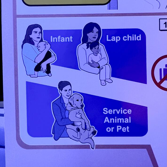 Airplane safety booklet showing accurate facial expressions for people with children vs dogs