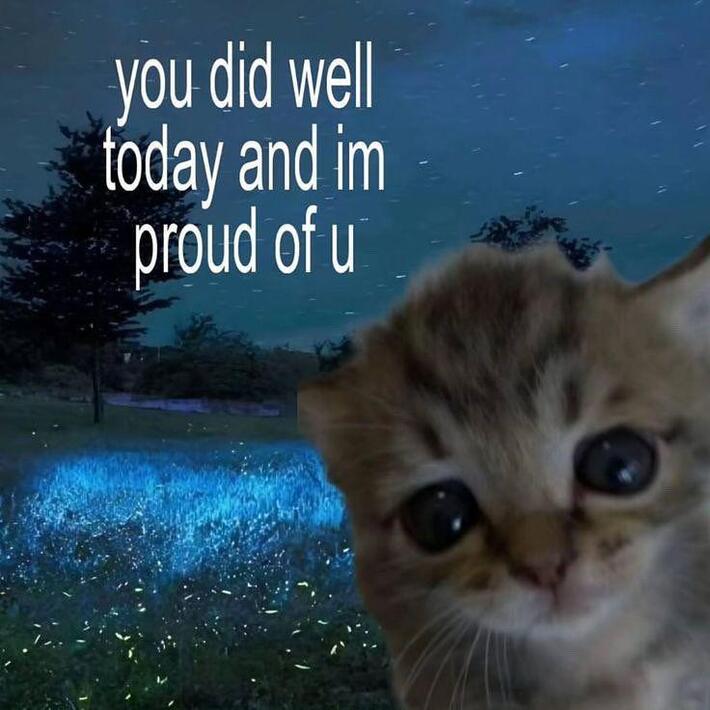 Sometimes decent post makes your day