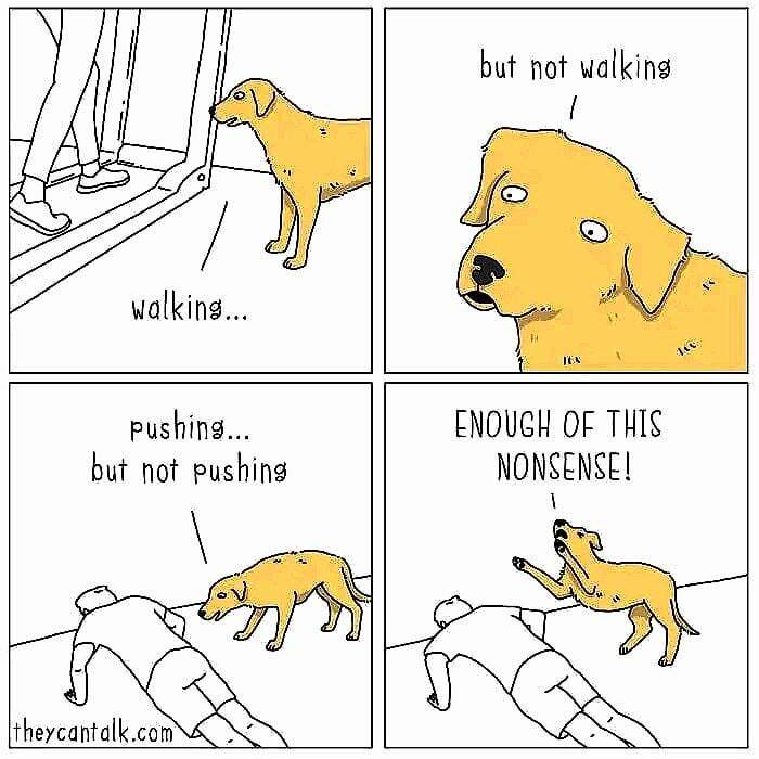 Proof that gym rats are just NPCs with broken pathfinding