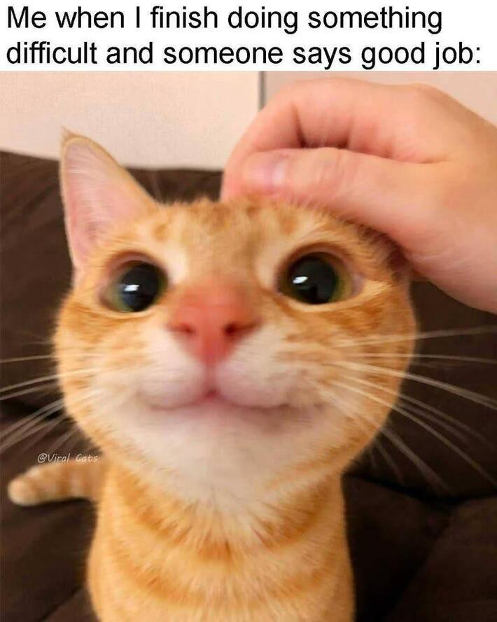 I love when someone appreciate my efforts 😊