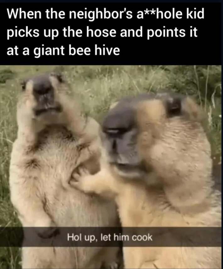 Cooked pretty hard