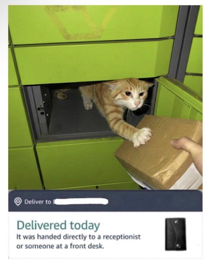 Lamo 😂