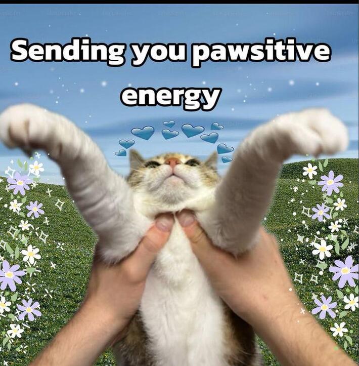 Hope this kitty makes your day