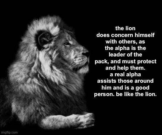 The lion does concern himself with others