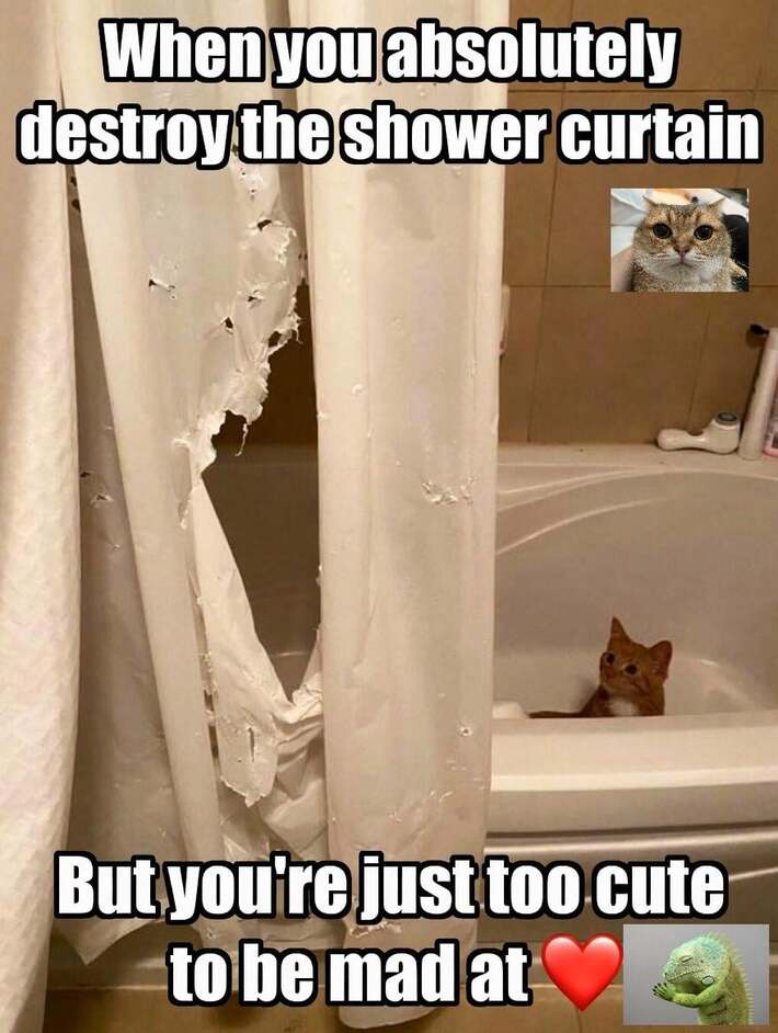 She have no regrets.😊
