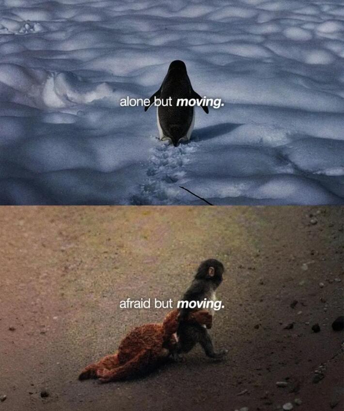 keep moving ig ✨