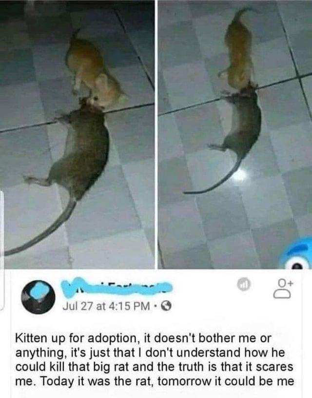 Understandable