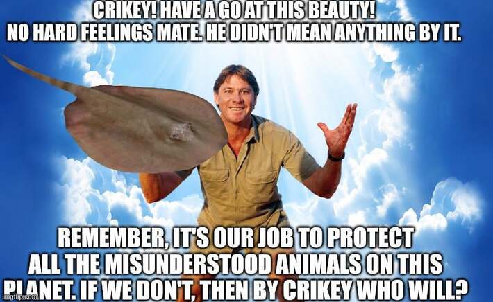 "My life revolves around conservation. That is my work. That is my life, and I'll die doing that."🐊