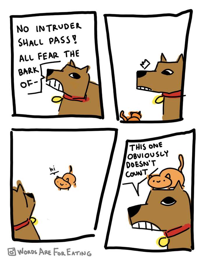 the guard [oc]