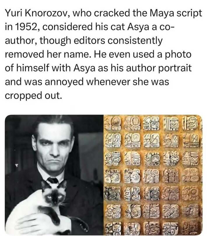 Me irl