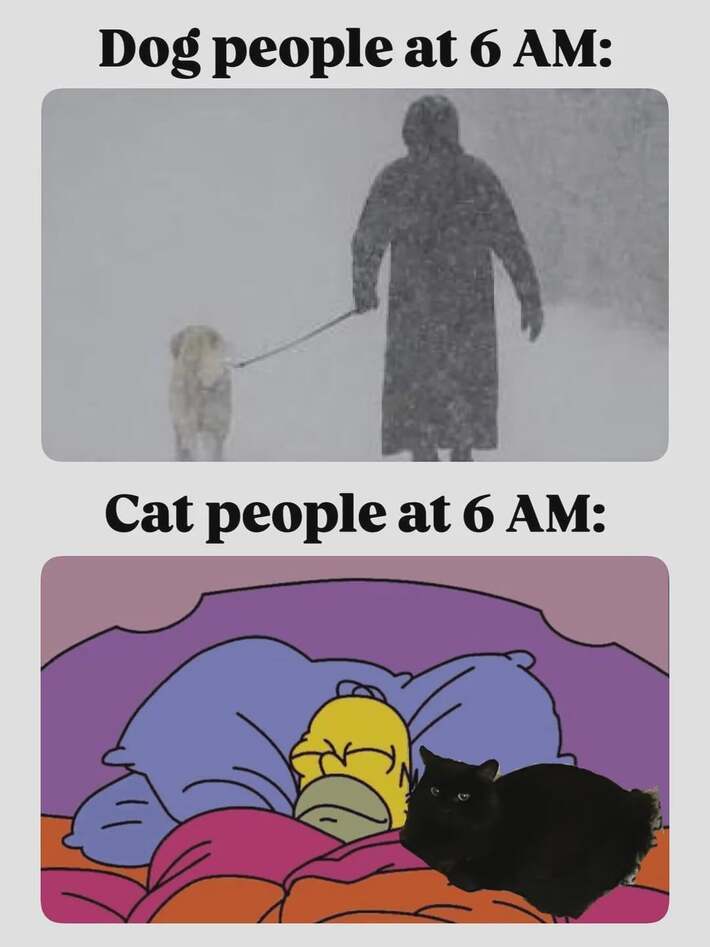me_irl