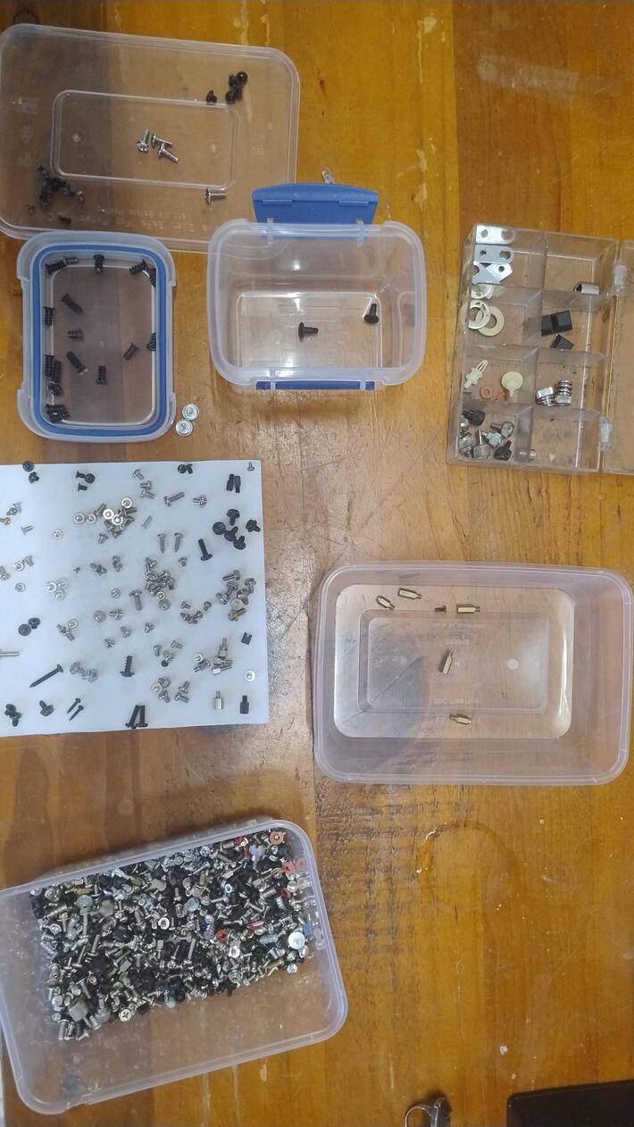 My GF 's ADHD told her organising my screw collection would be a fun job. She got this far before going back to building her IKEA shelves.