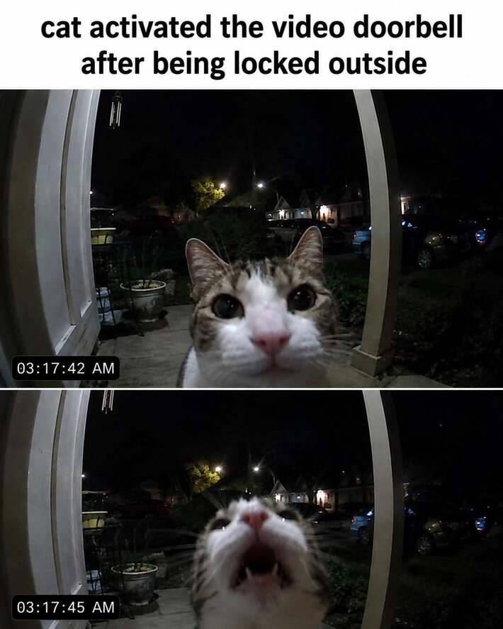 Excuse me, i appear to be outdoors