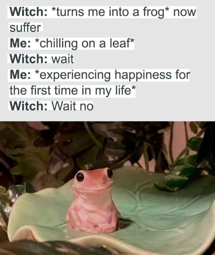 Chill on a leaf and smile as you continue to live rent-free in their minds! You got this! 💯