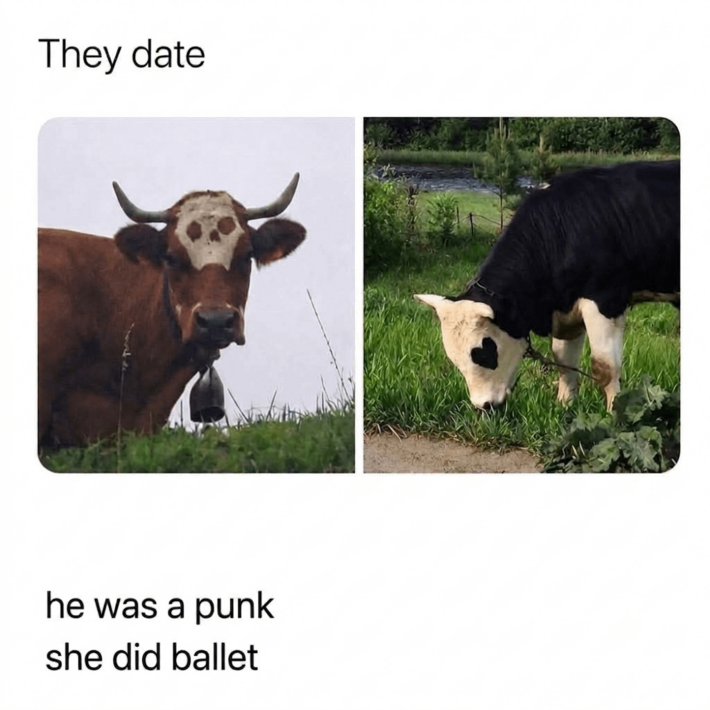 Cow couple goals, low-key iconic