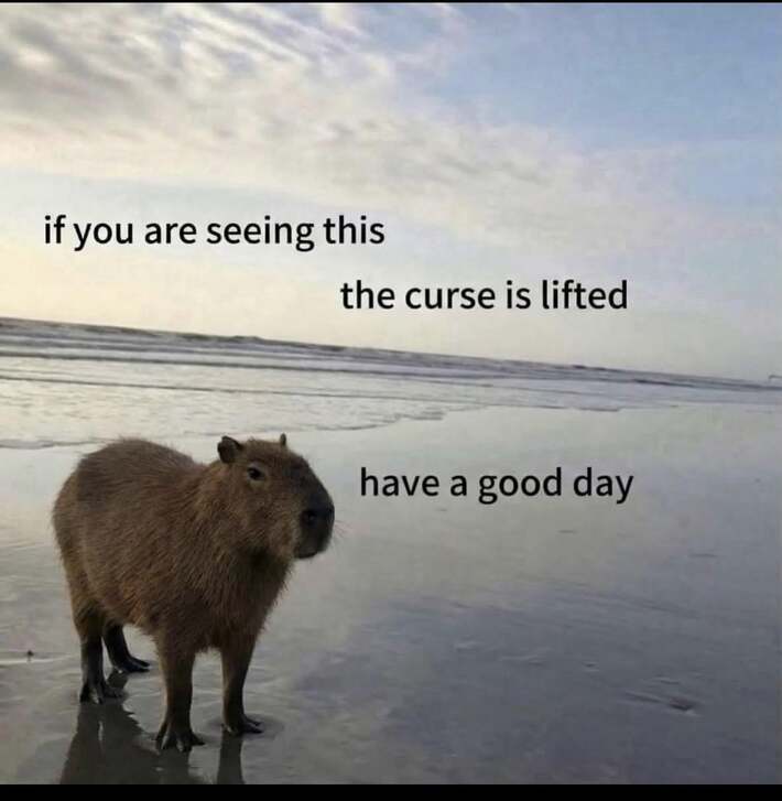Thank you, beach capybara