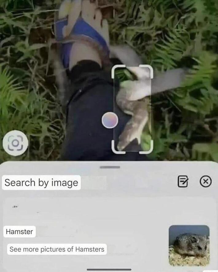 Oh , thanks google
