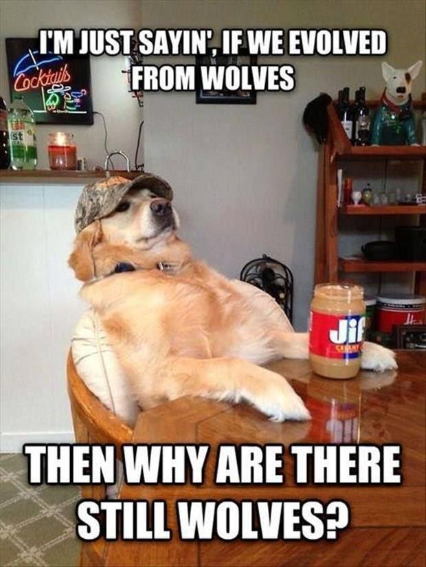 Right?
