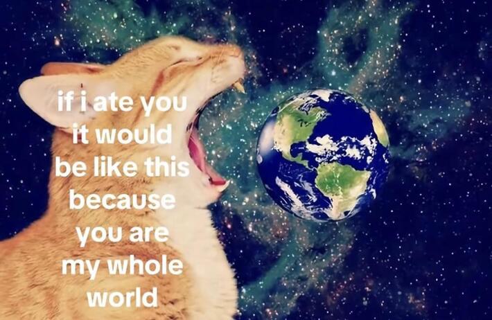 This made me smile