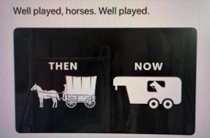 Horses ain’t as dumb as we think