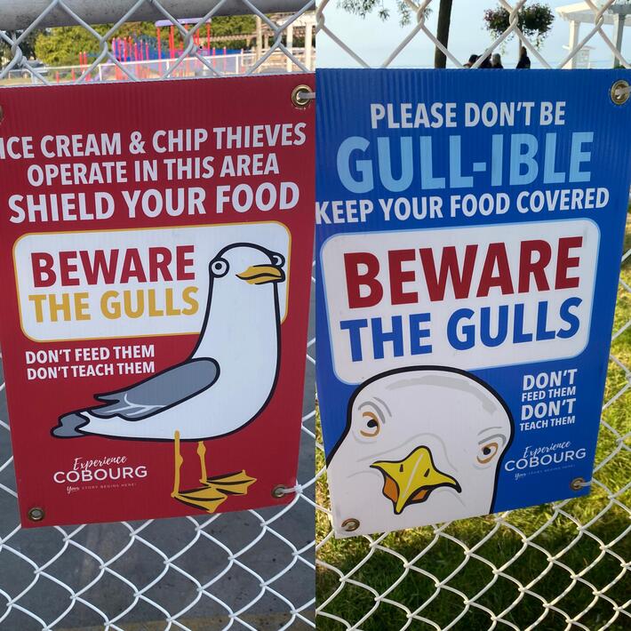 These signs at the beach lol
