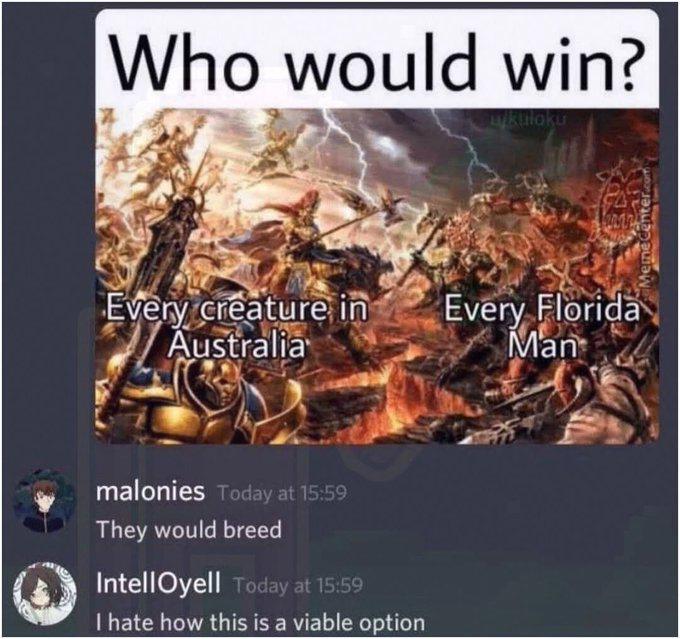 🕷️🪱🦗