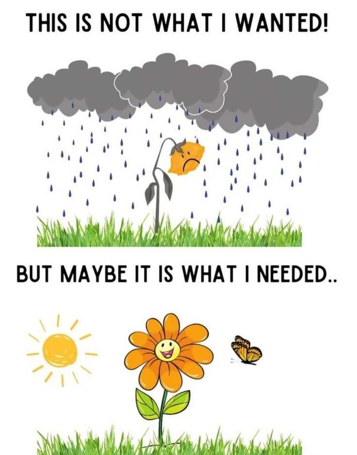 Indeed❤️☀️