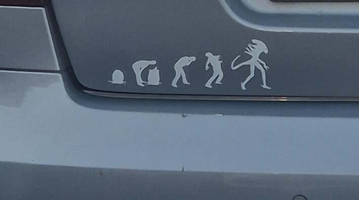 Funny bumpersticker I saw...