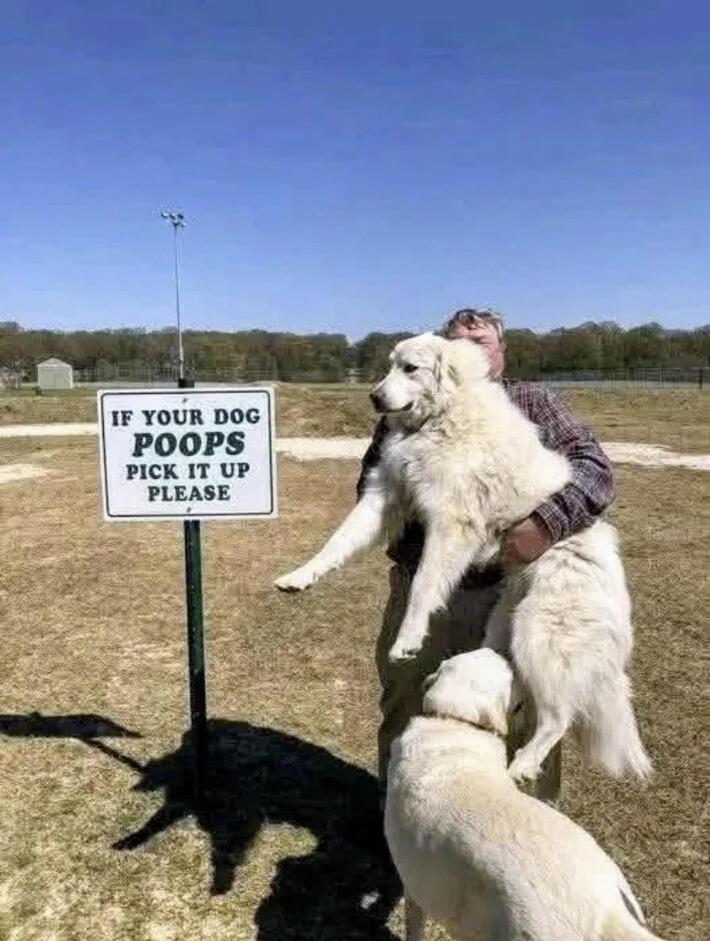 Compliant