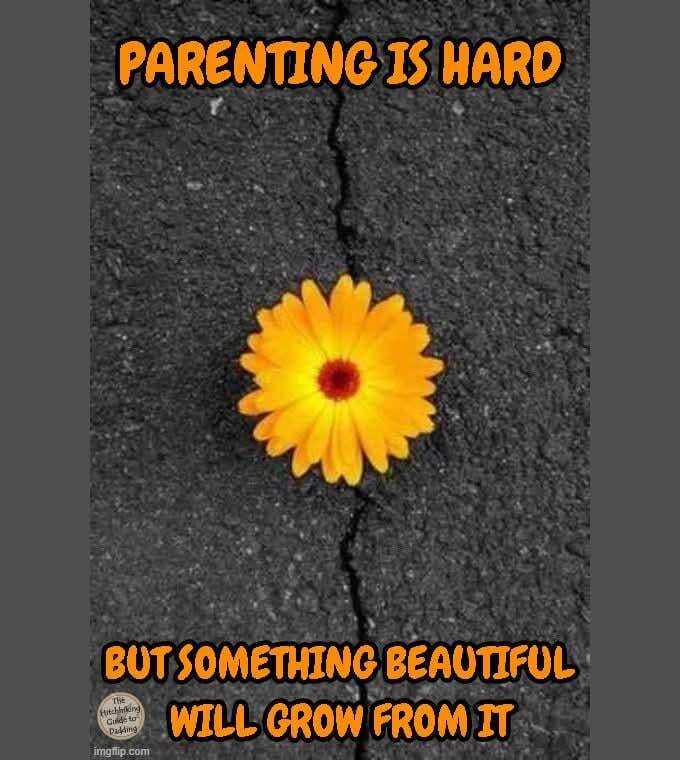 Parenting is hard.