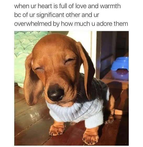 luv luv luv
