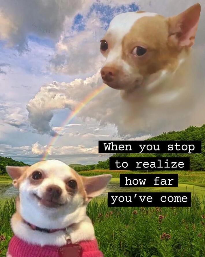 Stop and realize