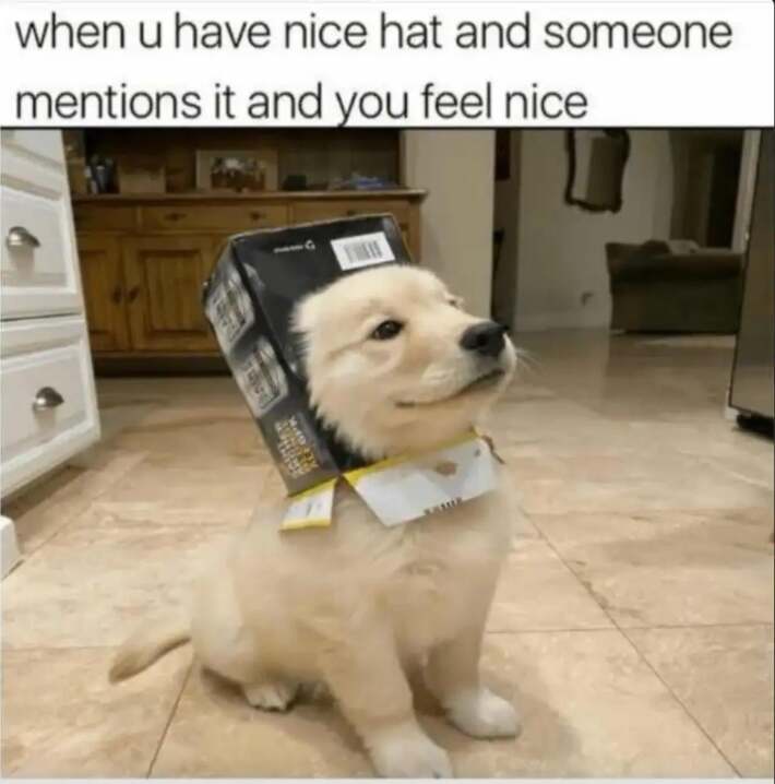 Someone liked my hat today :)