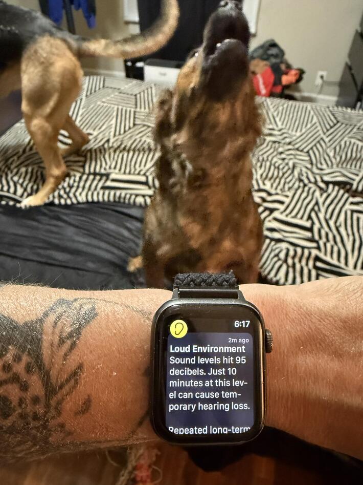 My wife sent this to me while I was out.