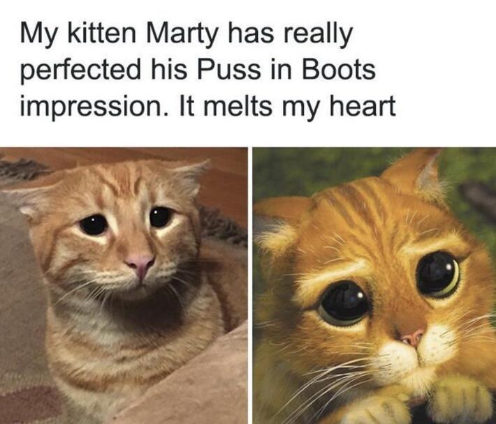 Aww so cute