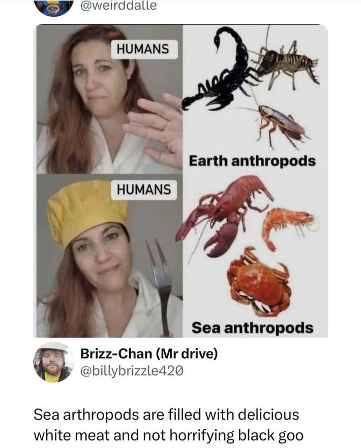 Oh lmao