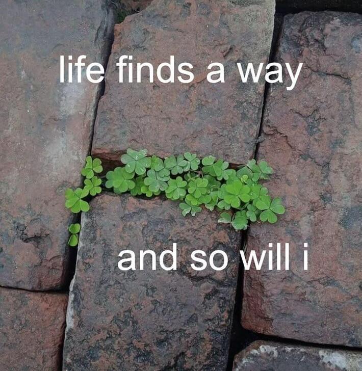 You'll make it. You'll find a way.