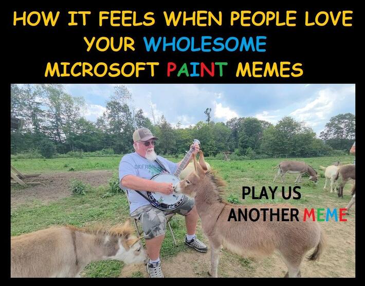 Wholesome Vibes