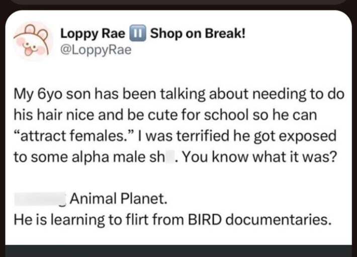 The true meaning of alpha male
