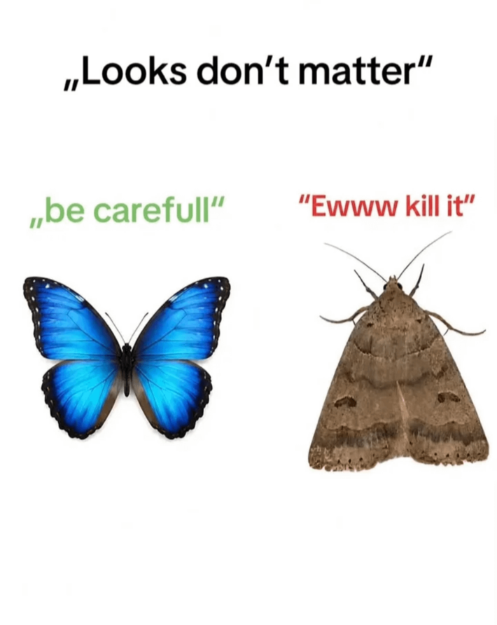 Everything is matters