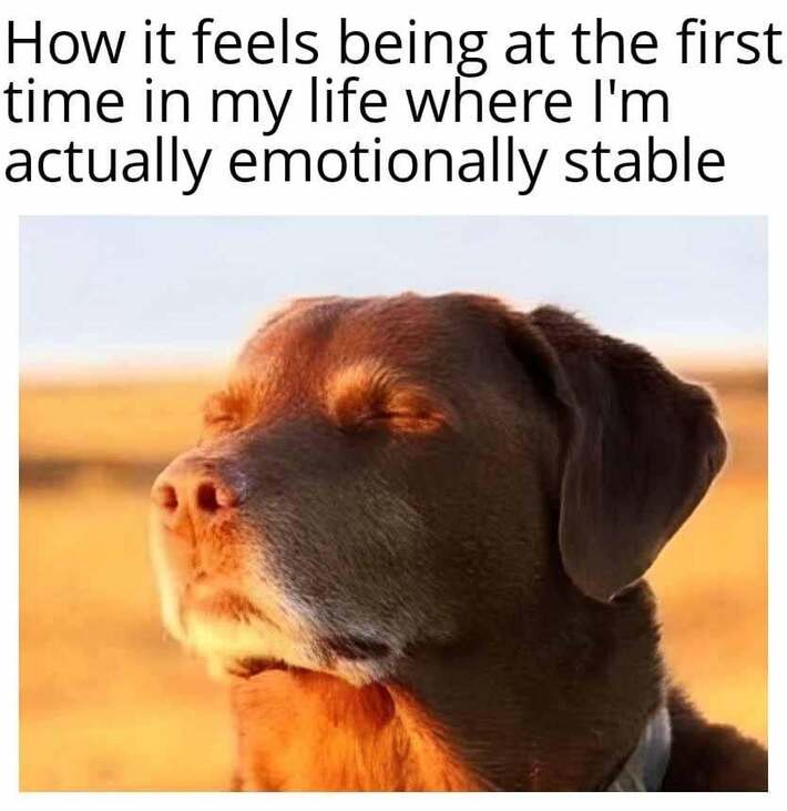 Finally, I'm stable