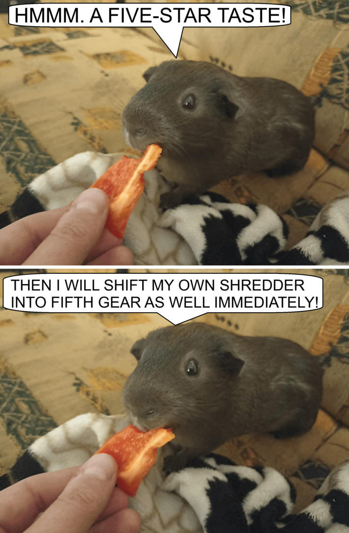 Shredding mode fully activated.
