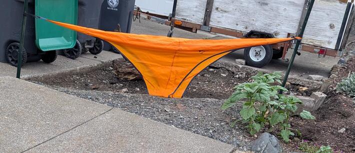 Found your mom's underwear drying.