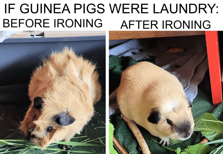 Ironing mode: fully flattened.