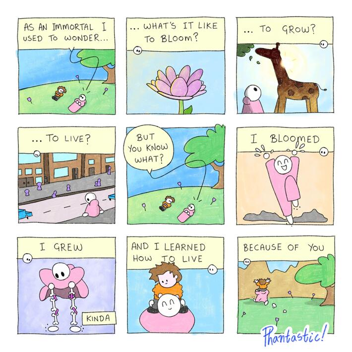 What’s it like to bloom?