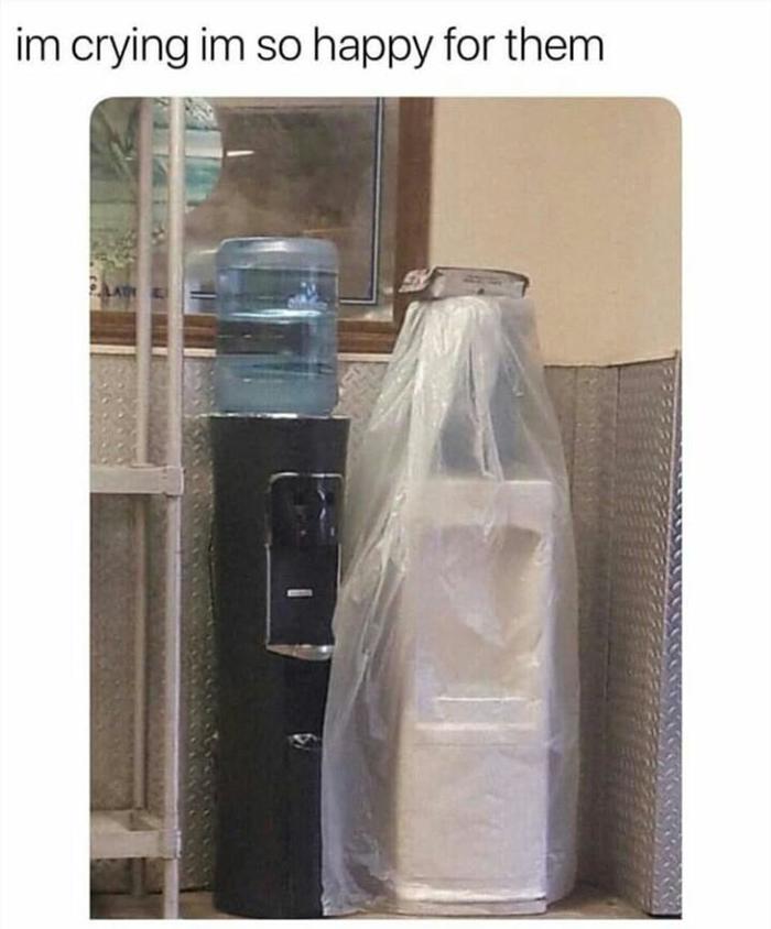 LMAO